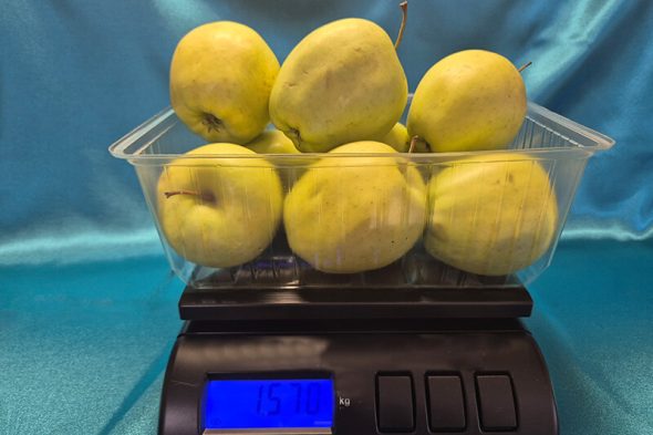 Gombás - epres műanyag 1 kg-os doboz nagy (64 Ft/db-tól) - Image 3