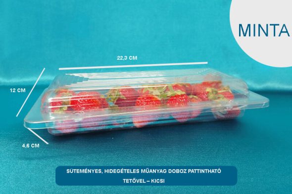 Hidegételes,kocsonyás műanyag dobozok, tálcák - MINTA - válasszon típust - Image 5
