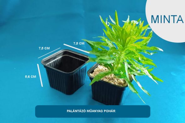 Palántázó műanyag doboz - MINTA