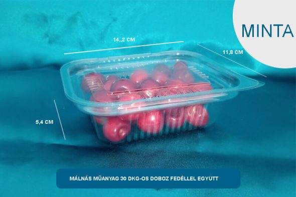 Süteményes, műanyag doboz - MINTA - válasszon típust - Image 7
