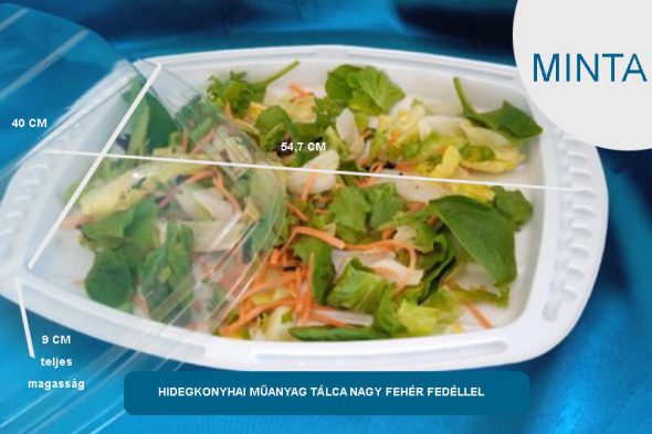 Hidegételes,kocsonyás műanyag dobozok, tálcák - MINTA - válasszon típust - Image 4