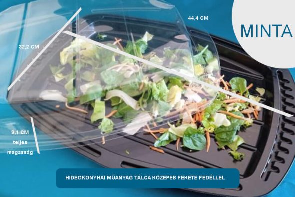 Hidegételes,kocsonyás műanyag dobozok, tálcák - MINTA - válasszon típust - Image 3