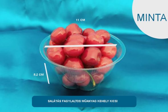 Hidegételes,kocsonyás műanyag dobozok, tálcák - MINTA - válasszon típust - Image 10