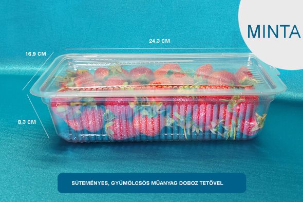 Süteményes, műanyag doboz - MINTA - válasszon típust - Image 2