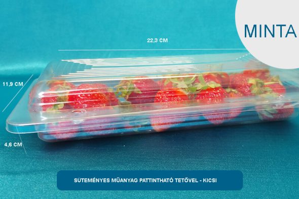 Süteményes, műanyag doboz - MINTA - válasszon típust - Image 3